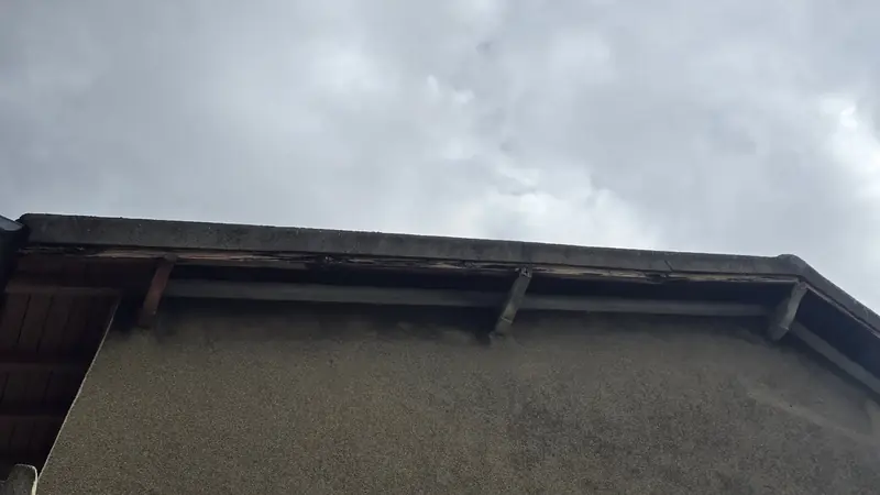 Rive et bas de pente en bois dégradés à l'arrière du pavillon avant travaux, Choisy-le-Roi (94)